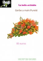 /album/galerie-de-photos-deuil/la-belle-orchidee-2-jpg/